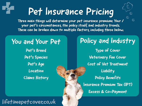 Pet Insurance Pricing Influences Explained